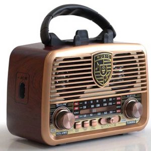 رادیو اسپیکر بلوتوثی گولون مدل RX-BT1110S